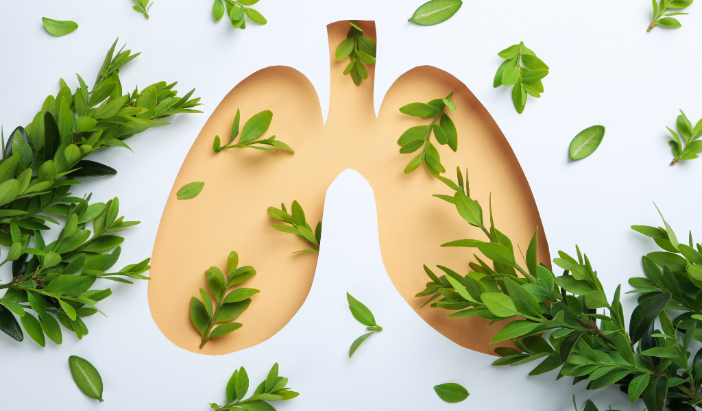 Cara Alami Mengobati Penyakit Pernapasan Kronis