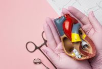 10 Cara Menjaga Kesehatan Jantung yang Mudah Dilakukan