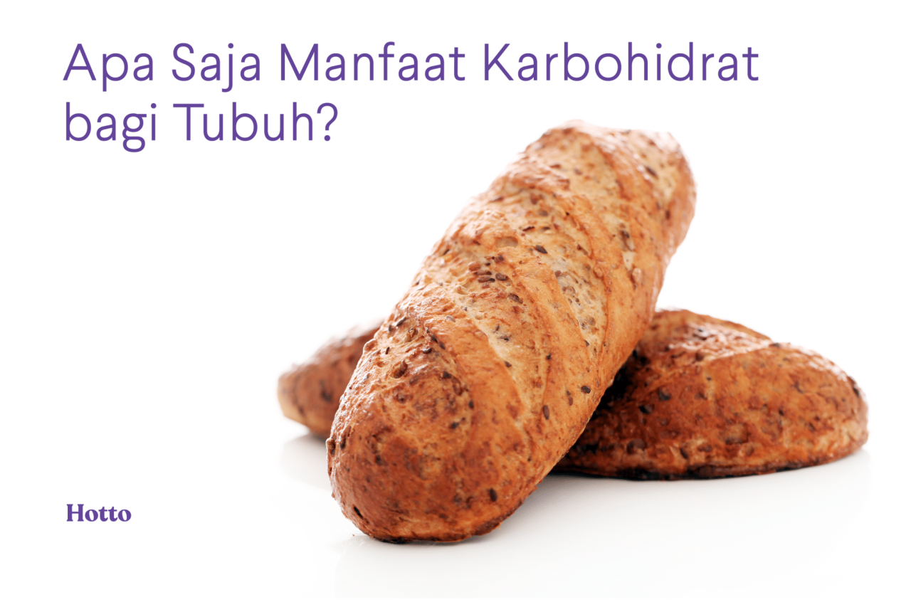 Karbohidrat: Jenis, Manfaat Dan Contoh Asupan Tubuh Harian