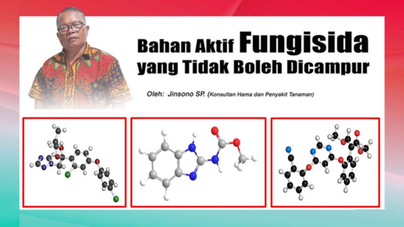 Kenapa Beberapa Obat Tidak Boleh Dicampur