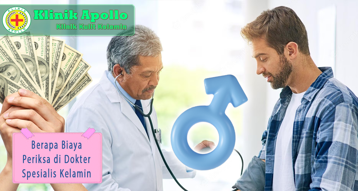 Jadwal Praktek Dokter Spesialis di Rumah Sakit Umum Daerah Palmatak