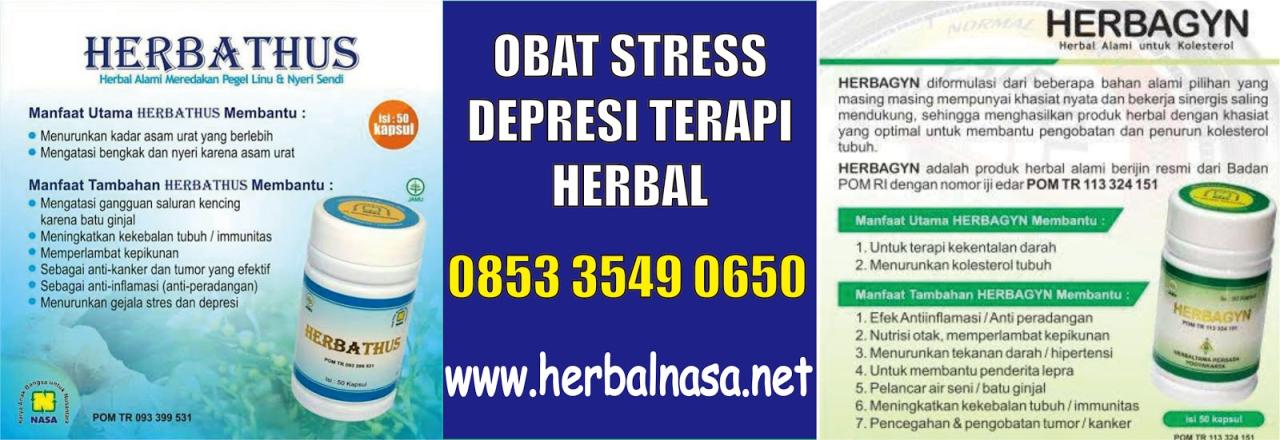 Obat Herbal Apa Yang Efektif Untuk Meredakan Stress