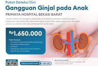 Konsultasi Dokter Anak Untuk Perkembangan Balita