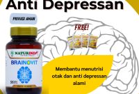 Obat Herbal Apa Yang Efektif Untuk Meredakan Stress