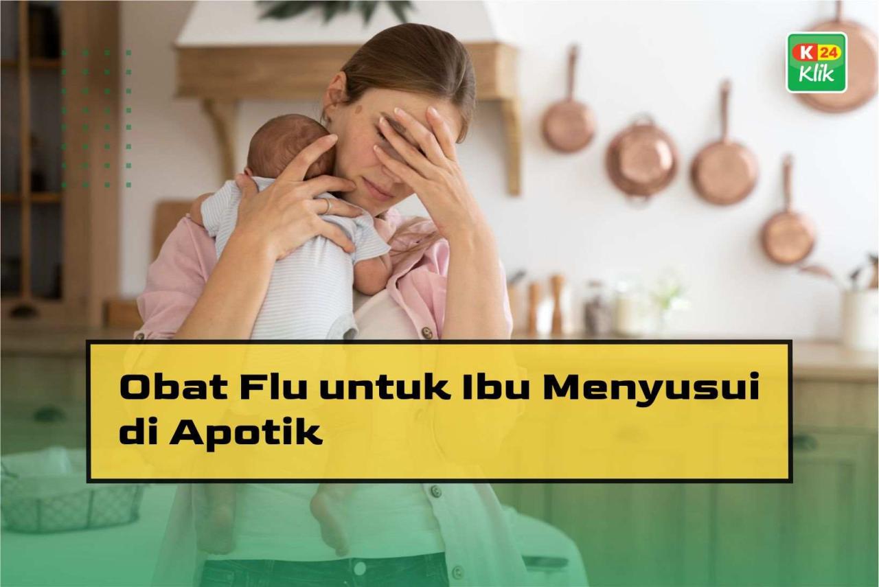 Obat Yang Aman Untuk Ibu Hamil Dan Menyusui