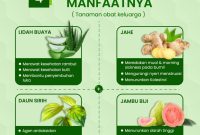 Apa Saja Obat Herbal Yang Aman Digunakan